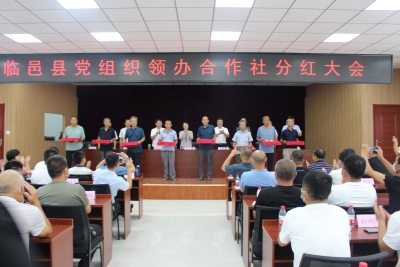 1056亩土地分红87.41万元 | 临邑供销土地托管再结硕果  农民分红笑颜开 