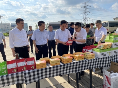 王艺华来德州市调研推动黄河流域乡村振兴工作 卜祥联参加