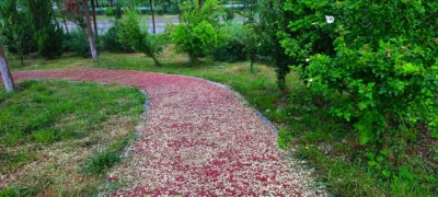 散文｜祖新兰：幸福夕阳别样红