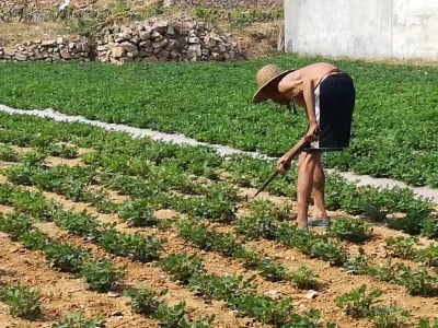 美文｜王英：九十度的人生