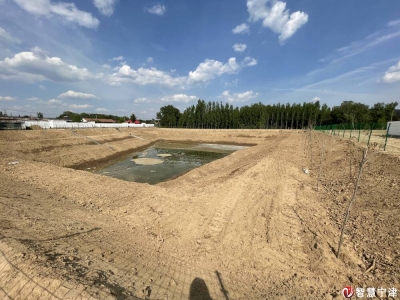 宁津县时集镇虎西村： 党建引领 强基固本 夯实基层治理最后一公里