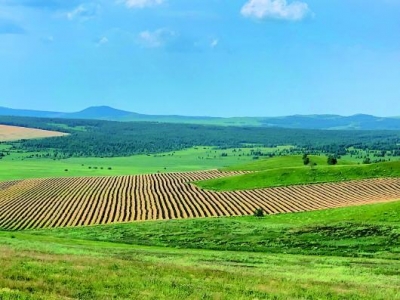 人在旅途 | 张勇：张北草原行
