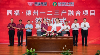 德州市委书记田卫东赴河北开展招商引资活动 卜祥联参加