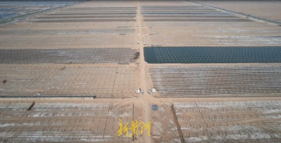 十强产业看东营 | 主攻链条经济，东营“硬核出圈”