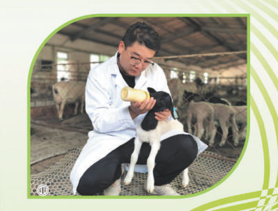 人民日报记者走近阳谷县“新农人”​薛景霞，听他奏响“科学牧羊曲”