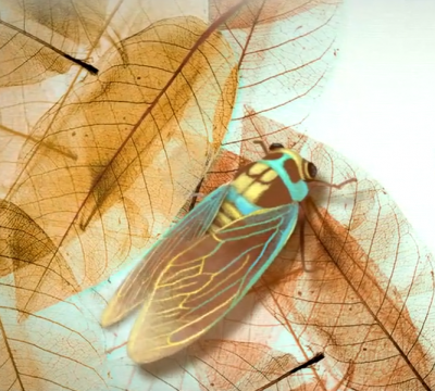 诗｜于占德：七绝 · 秋（五首）