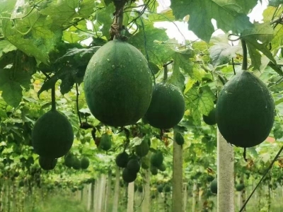 诗 | 刘洪玮 :感兴诗 · 中秋