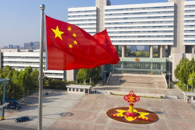 德州：迎国庆，百万株鲜花扮靓城市