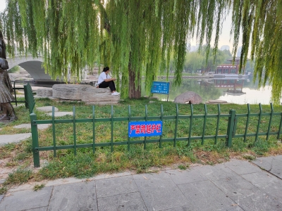 曝光台 | 景区随意攀爬 丢了素质和安全