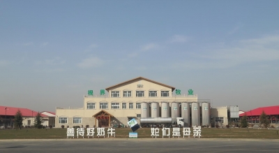 丰收节特刊 | 禹城伦镇：融合发展推动乡村振兴的“伦镇答卷”