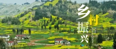 “预约”“延时”“上门”！齐河个性化审批服务助力秋收