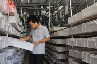 庆云县常家镇杨红军：小虫子养成“金元宝”