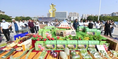 词｜盖志华：沁园春 · 农民丰收节有感