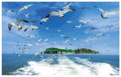 跨过山和大海，走近诗和远方 威海千里山海自驾旅游公路走笔