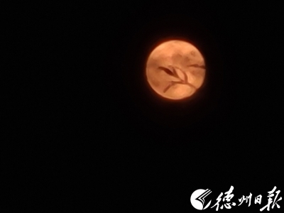 诗｜赵立章：中秋夜月明（外一首）