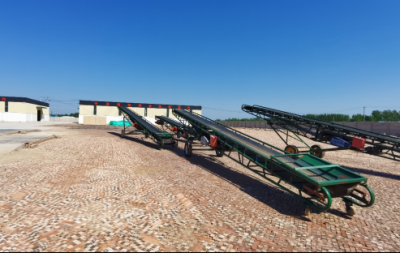 夏津县东李官屯镇东李楼村：党建引领打造乡村集体经济新高地