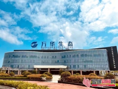 来自第一线的奋斗报告|临沂城投集团：扛起创新发展国企担当