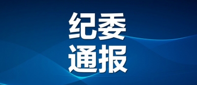 国网临邑县供电公司临邑镇供电所党支部书记、副所长刘志勇接受纪律审查和监察调查