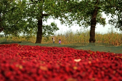 诗｜于佃俊：教师颂