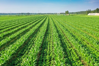 诗｜张学丰：七绝 • 且将绣笔绘秋图