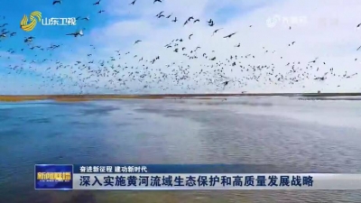 诗 | 王洪君：黄河颂（外一首）