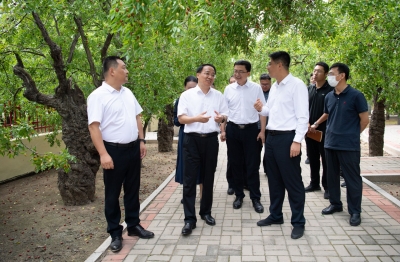 德州市委副书记、市长朱开国到乐陵调研旅游工作