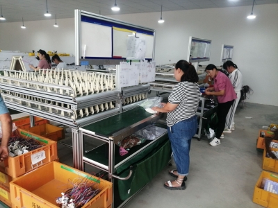 庆云镇：引进项目促集体增收