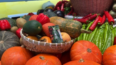 诗词 | 王洪君：暮秋游伍德农场（外一首）