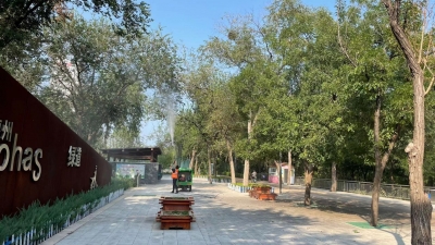 德州锦绣川景区：抢抓关键时期，防治美国白蛾