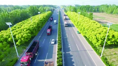 勇担当善作为 | 德州市公路中心城区分中心实行党建业务深度融合建党员示范路