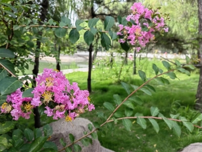 诗 |李长城：人民教师颂