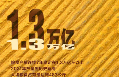 美成屏保！数说中国乡村十年画卷