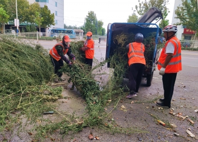 德州环卫：杂草堆放路当中 快速清理保通行