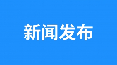 新闻发布 | 德城区：构建纵向到底、横向到边的乡村“善治”共同体