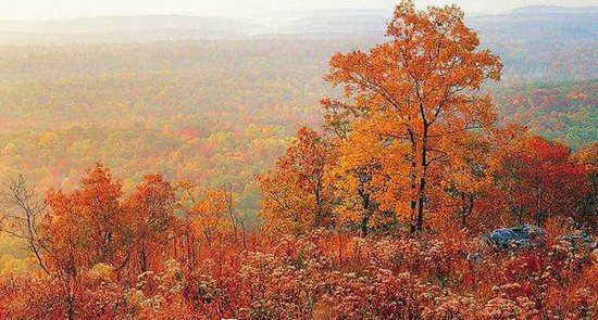 散文 | 赵维华：深秋