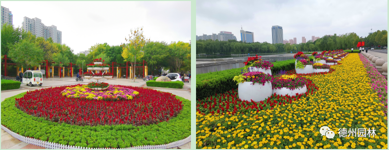 词｜范恩露：沁园春 · 喜迎二十大