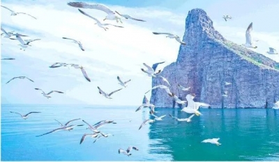 人在旅途｜马玉凤：醉在海天山水间