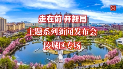 德报直播 | “走在前 开新局”​主题系列新闻发布会陵城区专场