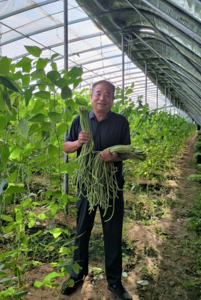 身边好人 | 陵城区郑寨街村党支部书记郑召臣：群众信任的致富带头人