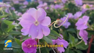 山东各地灯光花海就位，国庆气氛来了