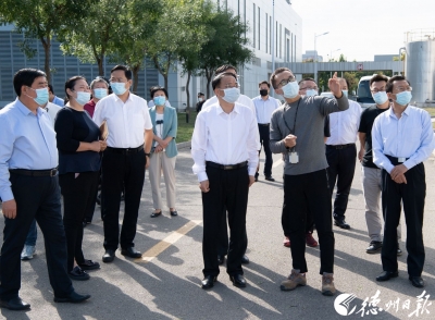 德州市委副书记、市长朱开国到天衢新区调研