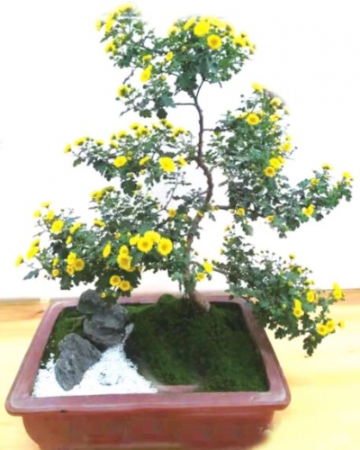 七绝（三） | 德州籍著名诗人李葆国诗词选