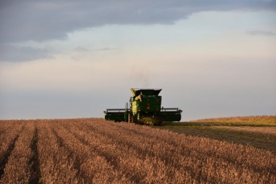 新华全媒+|机收减损新风尚 秋粮入住“智能仓”——来自粮食主产区的节粮减损见闻