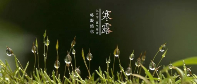 诗｜郭仲凤：七律  · 寒露