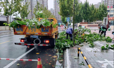 【国庆我在岗】德州园林：全力做好防汛应急处置