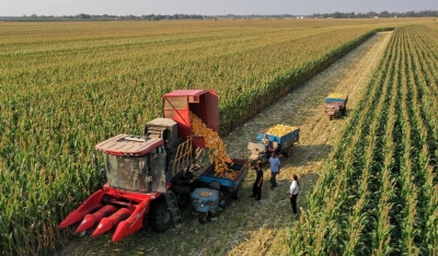 诗｜王淑芬：秋声三首