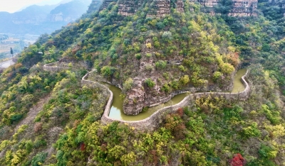 诗｜赵保国：读李葆国诗有感