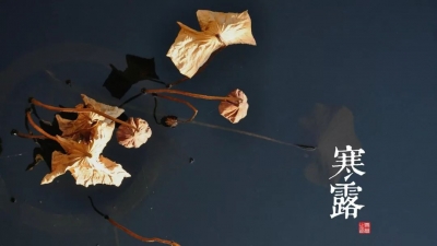 德报说节气｜今日寒露！天寒露重，望君保重