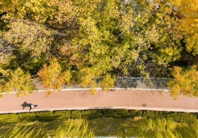 诗词｜张学丰：七绝 • 寒衣节（外二首）