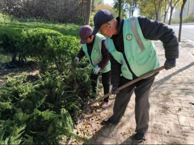 德州园林：抢抓秋季黄金期 补植苗木添新绿